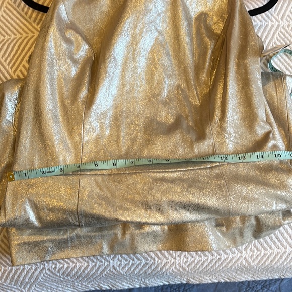 NWT Lauren Ralph Lauren Chris Silver Dress - Picture 14 of 15